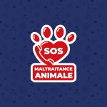 3677 : Un nouveau numéro pour signaler la maltraitance animale