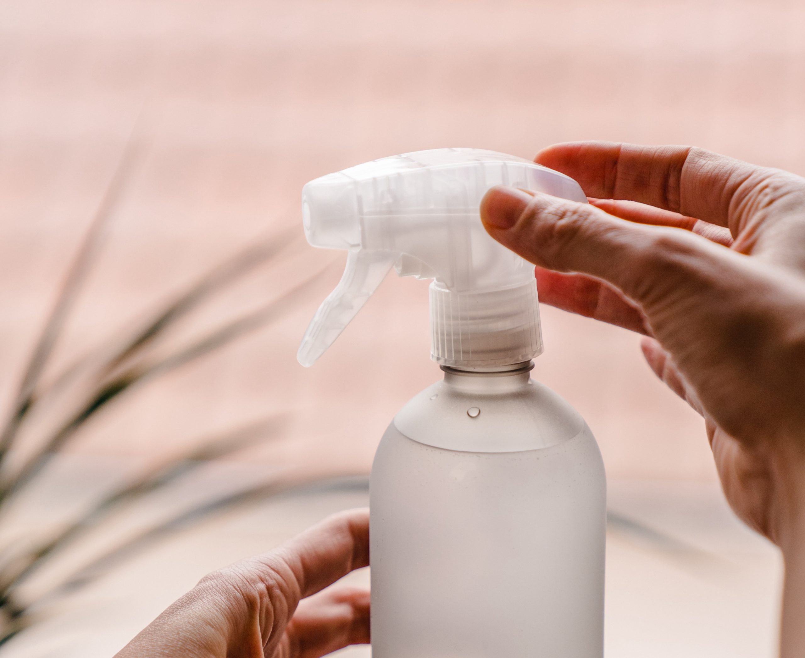 Traitement Anti Puce Naturel Pour La Maison | Ventana Blog
