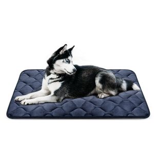 Tapis orthopédique pour chien