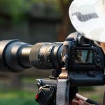 Quel objectif choisir pour la photo animalière ?