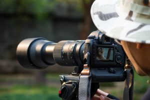 Quel objectif choisir pour la photo animalière ?