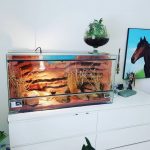 Comment choisir un tapis chauffant pour son terrarium ?