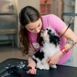 Toiletteur Animalier