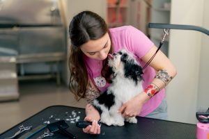 Toiletteur Animalier