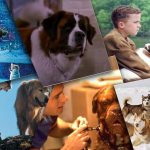 Top 14 des meilleurs films avec des chiens