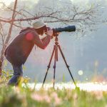 Quel trépied choisir pour la Photographie Animalière ?
