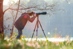 Quel trépied choisir pour la Photographie Animalière ?