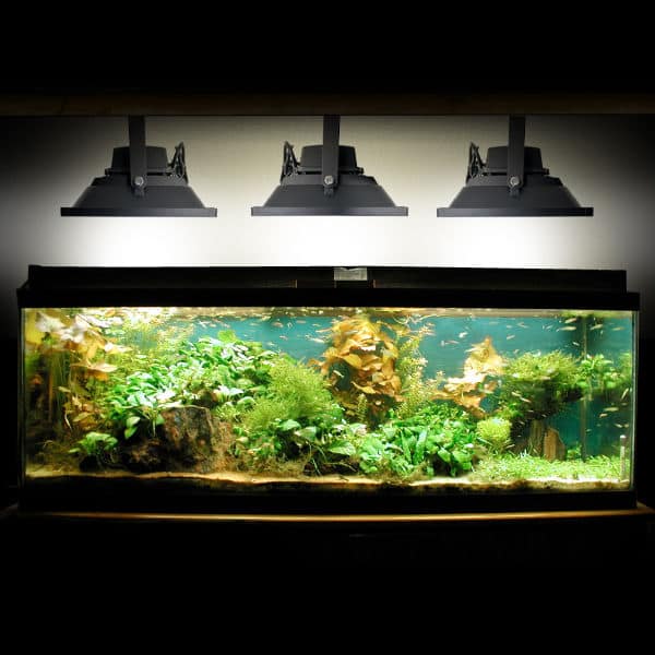 Quel éclairage LED choisir pour un aquarium ?