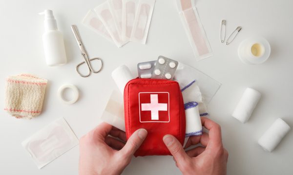 Trousse de secours pour chien: ce qu’elle doit comporter