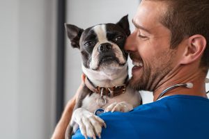 Comment trouver un vétérinaire pas cher ?