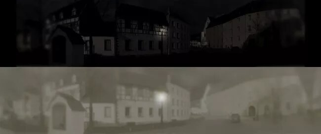vision du chat la nuit vs celle de l'homme