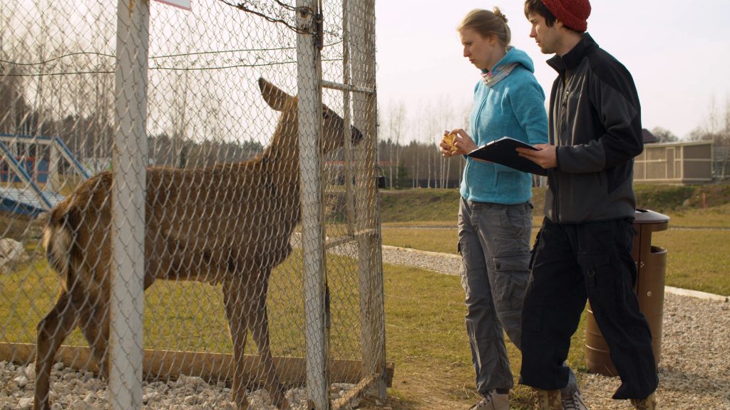 deux volontaires dans un refuge face à un cerf