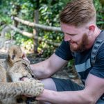 Volontariat animalier en Afrique