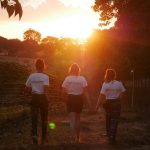 Faire du volontariat animalier à l’étranger