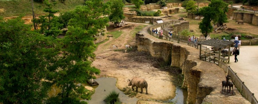 Zoo de Doué-la-Fontaine