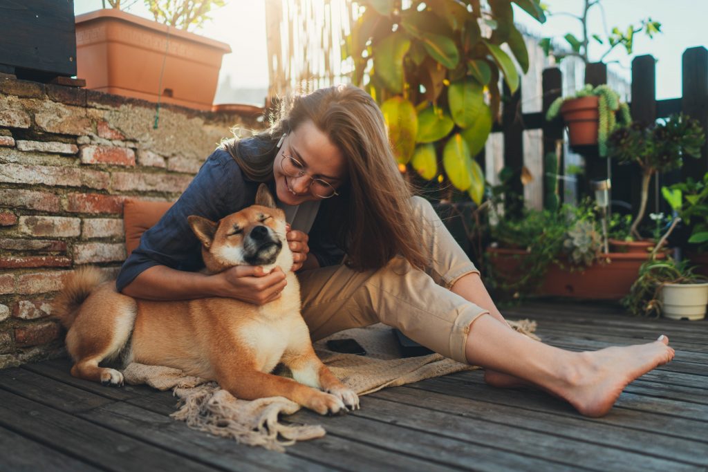 Chien avec sa maîtresse